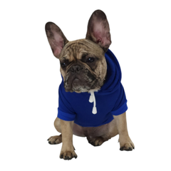 SUDADERA GAP AZUL REY