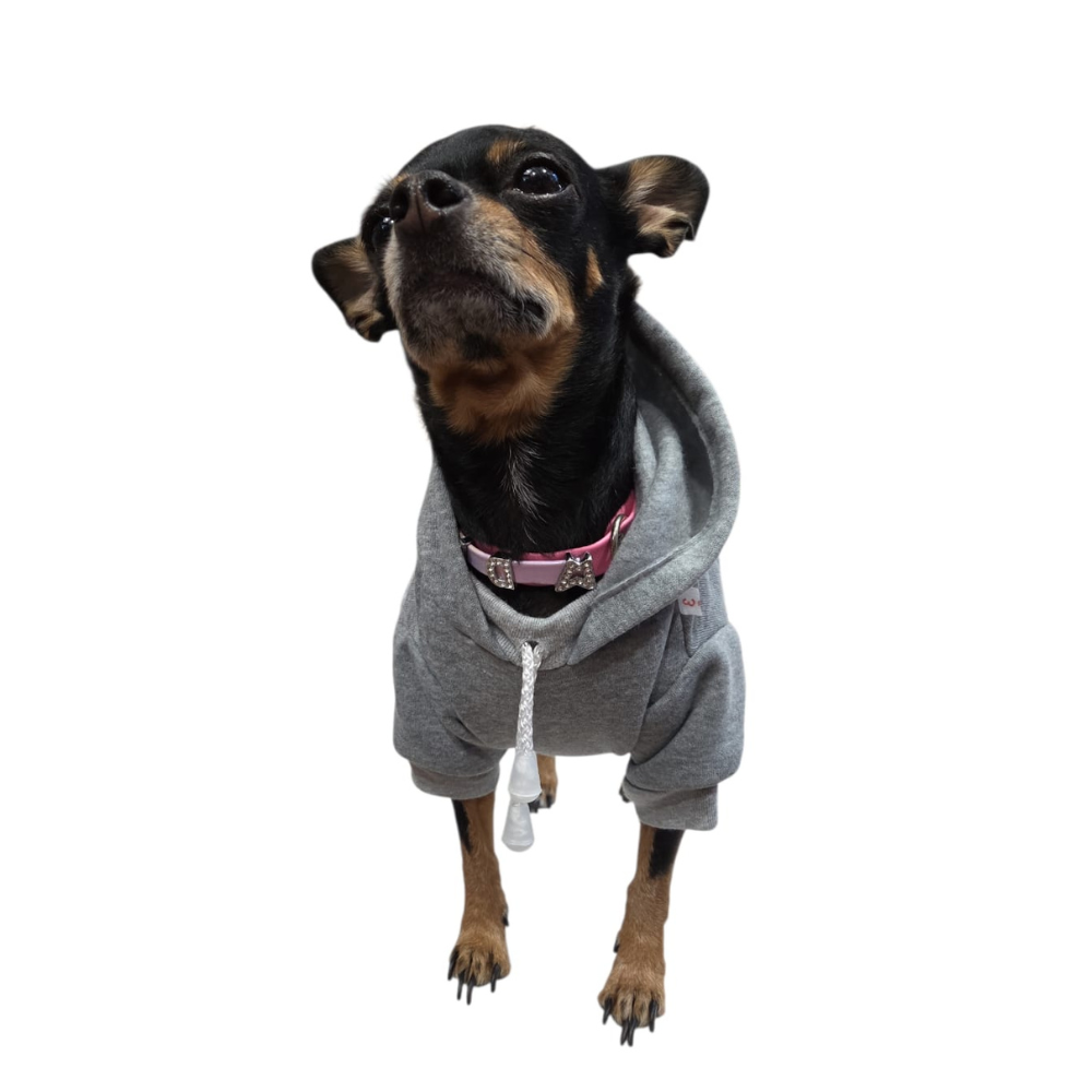 SUDADERA GAP GRIS