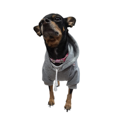 SUDADERA GAP GRIS
