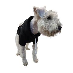SUDADERA GAP NEGRA