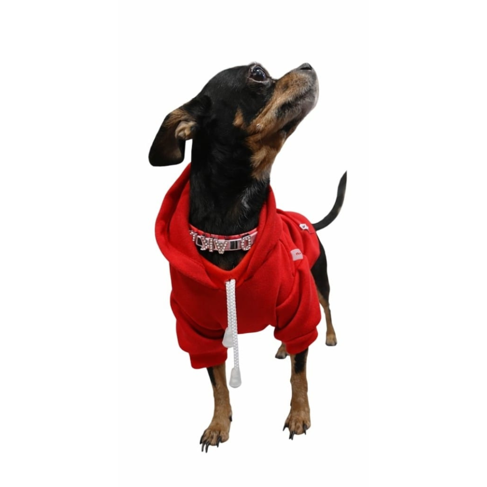 SUDADERA GAP ROJA