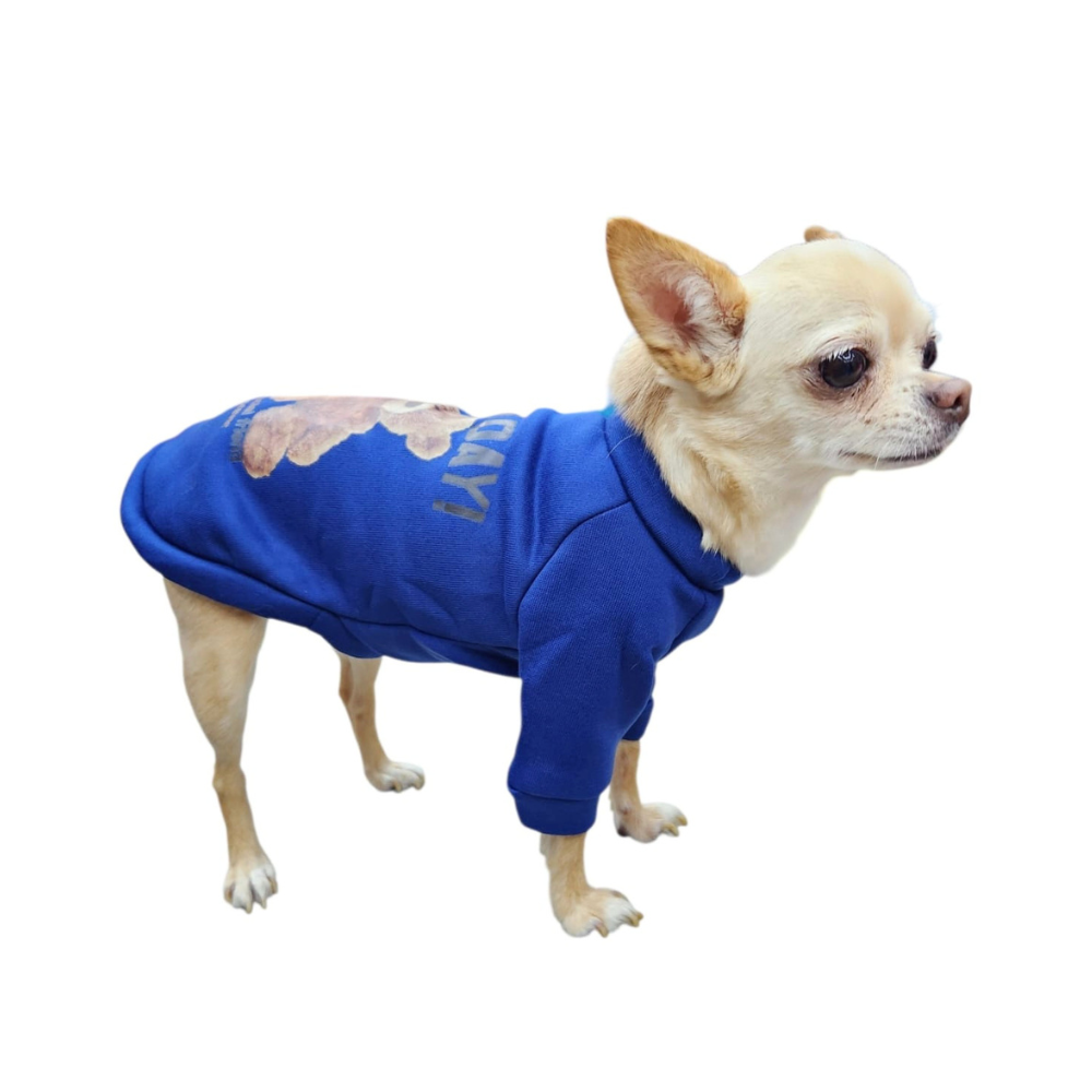 SUDADERA OSO GOOD AZUL MARINO
