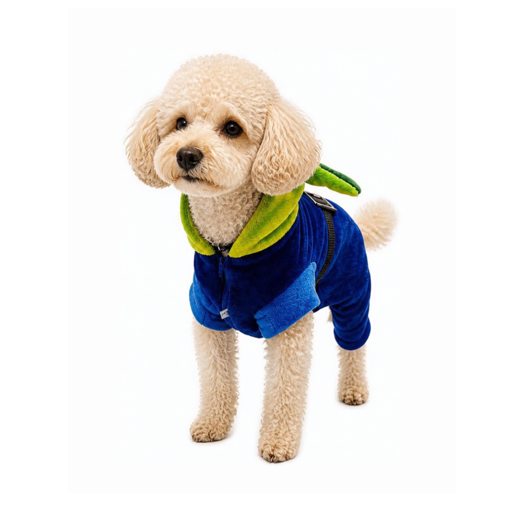 Botarga Marcianito Toy en perro poodle